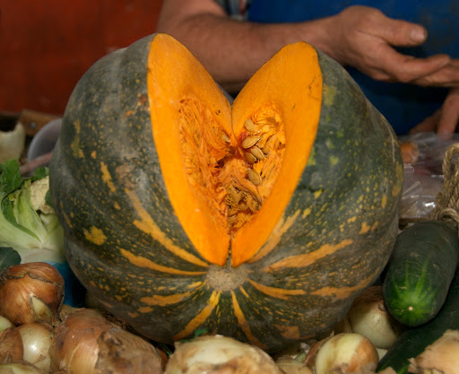Cucurbita moschata